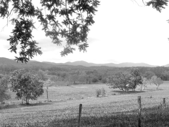 Blairsville View