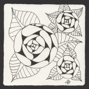 Spiral Rose