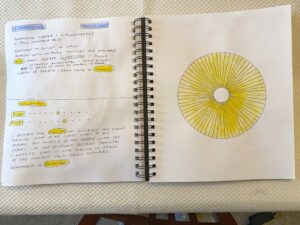 Connections with radial lines